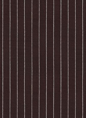 Chocolate Two Pieces Men Suits with 2 Buttons | Striped Tuxedo_4