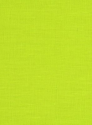 Lime Green Notched Lapel Prom Suits for Men | Bespoke Two Pieces Tuxedo Online_4