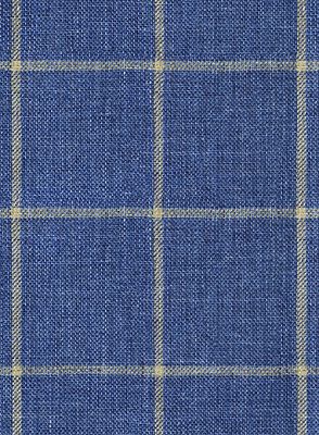 Blue Business Two Pieces Men Suits | Linen Plaid Tuxedo_4